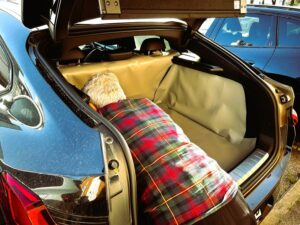 prova-campione-x4-salva-baule-auto-made-in-italy-2